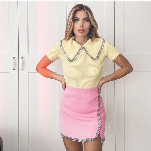 GORGEOUS ZARA NWT Appliqué Jewel Knit Skirt - Picture 2 of 16